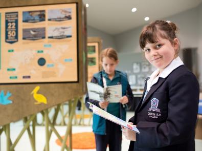 Student views pamphlet in front of interpretive signage at Edithvale-Seaford Wetland Education Centre