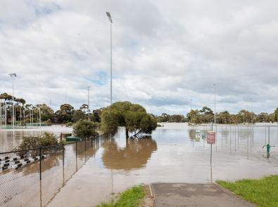 Aberfeldie Park submerged by floodwaters during the October 2022 flooding event