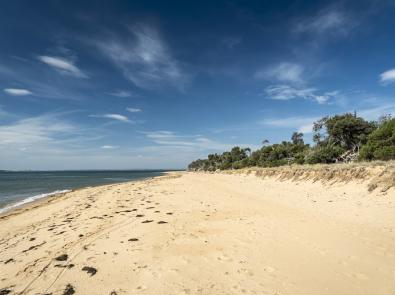 An image of sea and beach
