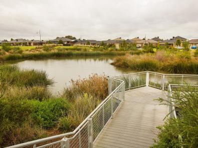 WAVE wetlands