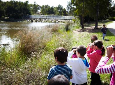 A group of children looking across a waterway Children at the Healthy Waterwatch 'Frog Frenzy'