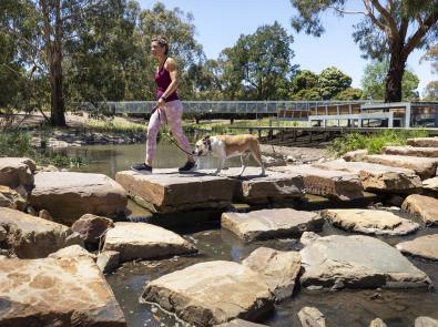 Melbourne Water Outlook - Person walking a dog