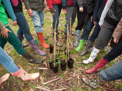 Group of Landcare volunteers standing in a circle around a collection of seedlings