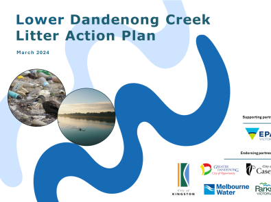 Lower Dandenong Creek Litter Action Plan 