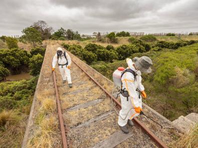 Two people in full body PPE spraying weeds on an abandoned elevated railway track