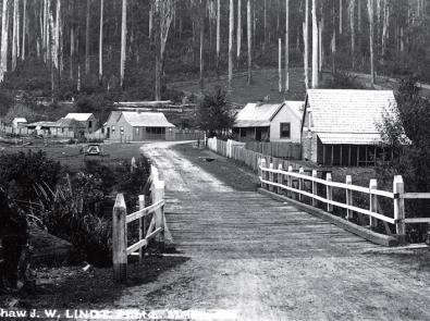 Black and white photo of Fernshaw township, surrounded by forest