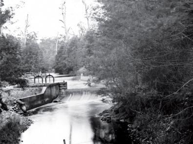 Black and white photograph of Watts River Weir