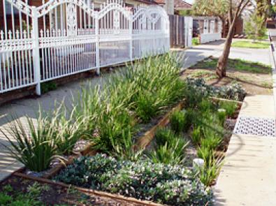 Raingarden-curbside.jpg