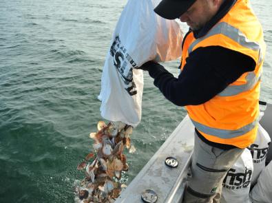 The creation of Shellfish Reef