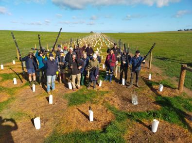 Volunteers from the Phillip Island Landcare group stand on a wide, grassy field, in front of many small plantings protected by plant guards.