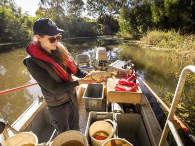 Woman on a boat examines fish