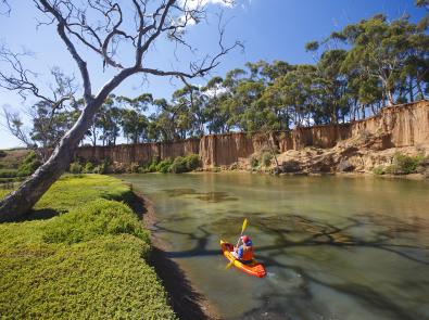 A man canoeing on the Werribee River