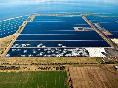 Aerial view of sewage treatment lagoons at the Western Treatment Plant