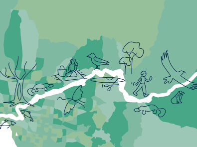 Map of the Yarra River, overlaid with illustrations of plants, wildlife and people