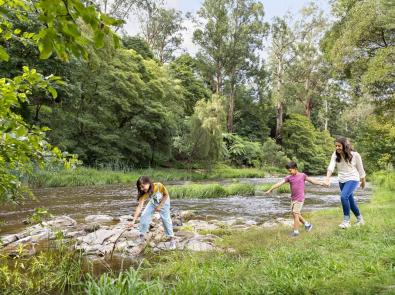 Woman and two children explore a river in a natural setting