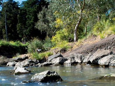 A stream running through the City of Banyule