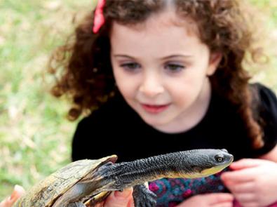 Girl reaching out to a tortoise