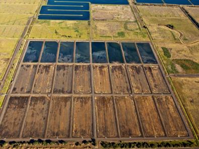 Biosolids drying pans Large, open areas of land drying biosolids