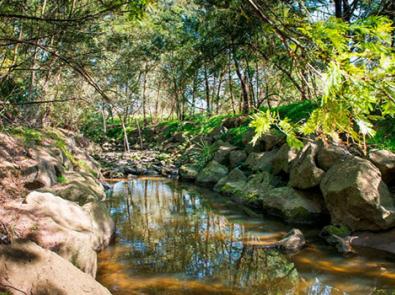 Waterway in City of Booroondara