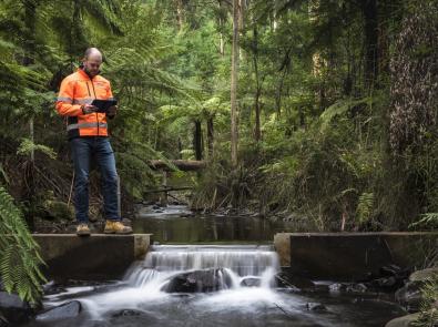 Melbourne Water staff inspecting waterway
