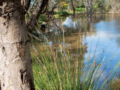 A waterway in the City of Greater Geelong