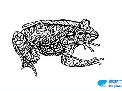 growling grass frog colouring sheet