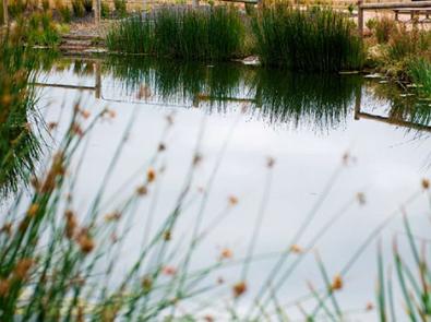 Merri Creek, City of Hume