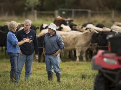 Melbourne Water staff talks to cattle farmers