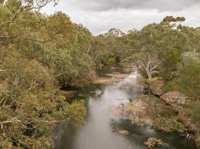 Looking down the Werribee River