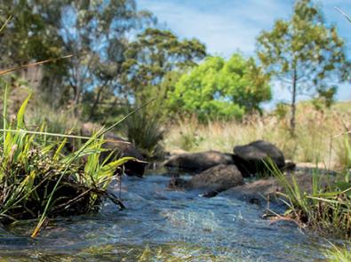 A waterway running through Mitchell Shire Council