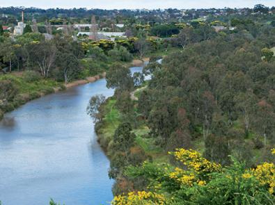 Looking down the Maribynong River