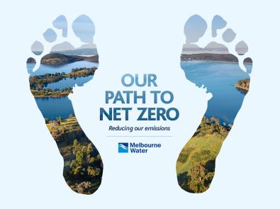 our path to net zero logo