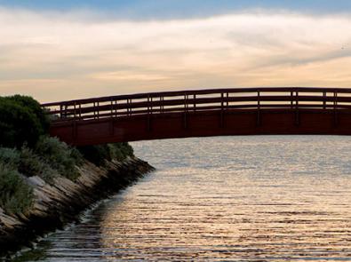 Looking out at the Port Phillip Bay, pedestrian bridge in the foreground