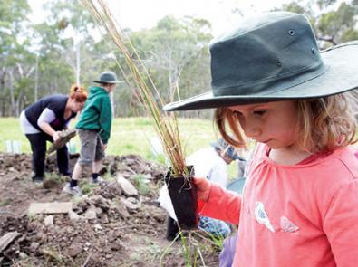 Planting with the community, young girl in foreground holding a seedling