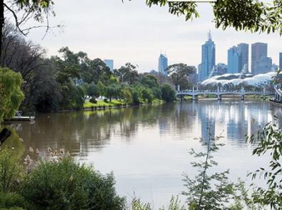 View of the Yarra in the foreground with AAMI Park and the city skyline in the background