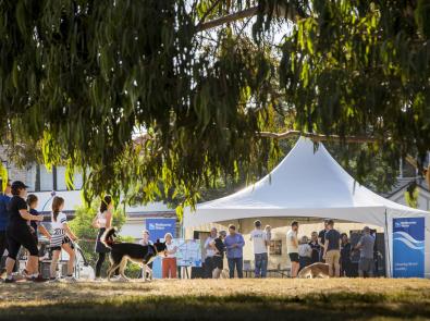 Melbourne Water marquee at Stony Creek for community engagement Melbourne Water marquee at Stony Creek