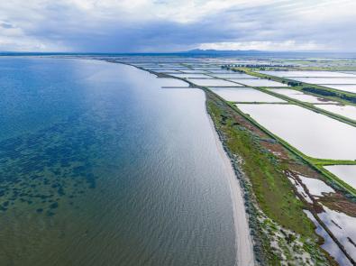 Western Treatment Plant virtual tour