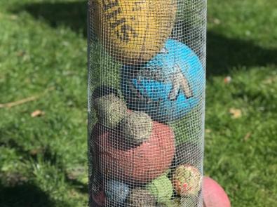 Footballs and tennis balls pulled out of the Yarra, for the Yarra River Blitz