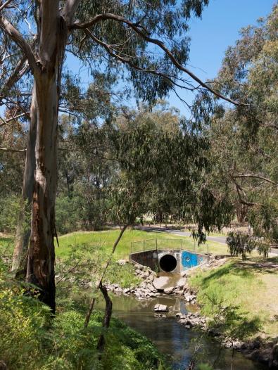 Stormwater drain emptying into Dandenong Creek