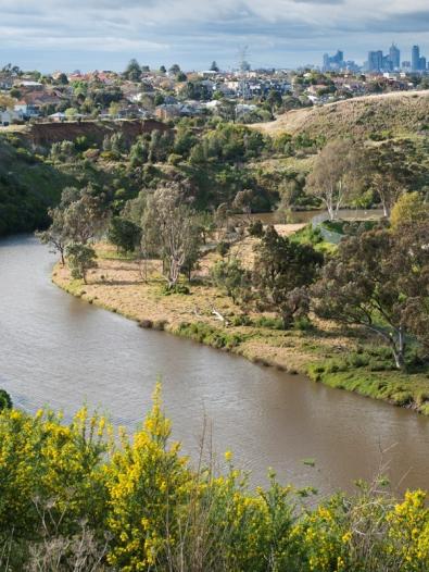 Picture of a waterway with the Melbourne skyline in the background