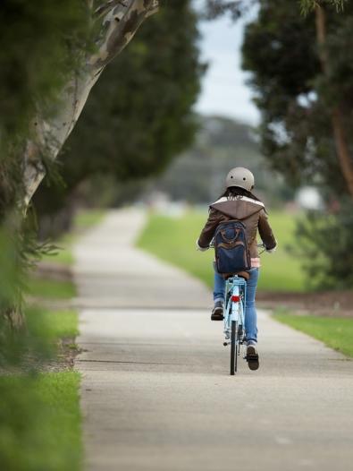 Cyclist on a shared pathway lined by trees