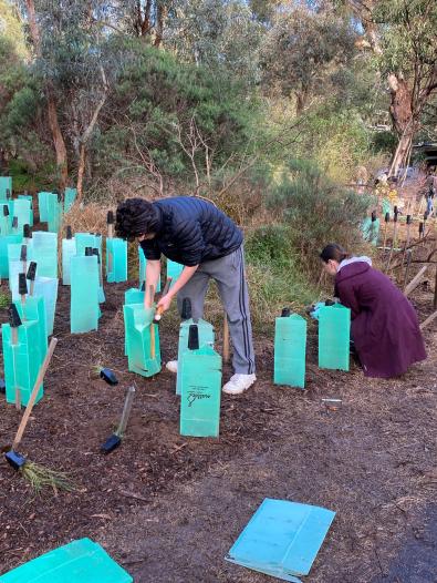 Volunteer planting day at Eltham