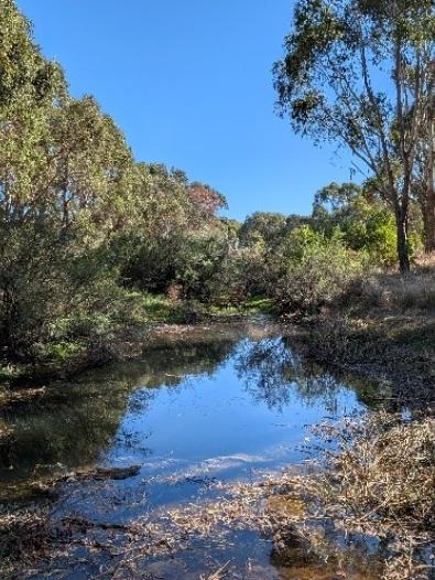 Deep Creek after watering