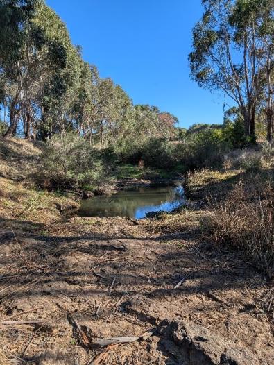 Deep Creek before watering
