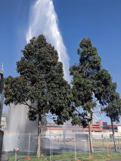 Jet of water from burst water pipe visible above treeline