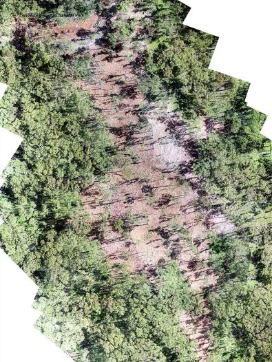 Aerial image of showing cleared trees on the land surrounding Silvan Reservoir