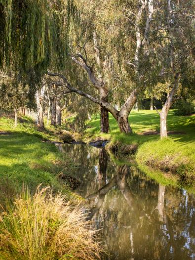 Creek flowing through parkland with trees, grass and shrubs on embankment