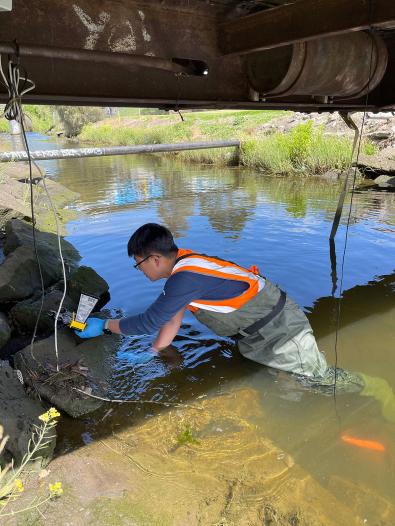 Monash University researcher standing in Stony Creek, installing a sensor