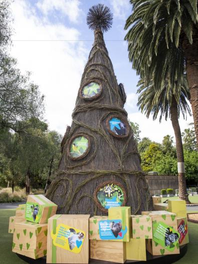 Willow Xmas Tree