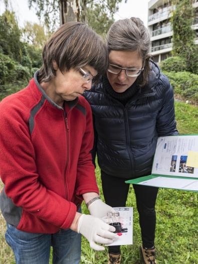 Volunteers from Friends of Stony Creek conduct water quality monitoring